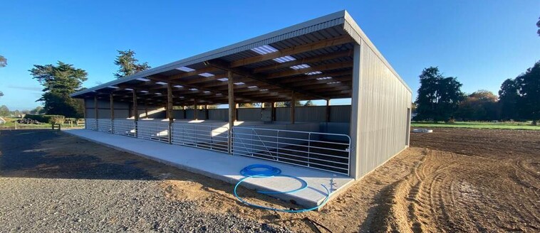 calf shed, farming building, pole shed, waikato shed, farm shed nz, build waikato, sheds nz