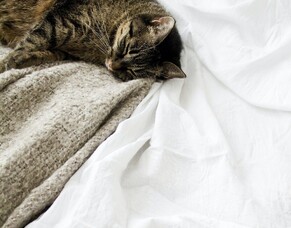 &ldquo;Cooling Technology&rdquo; in beds &ndash; too good to be true?