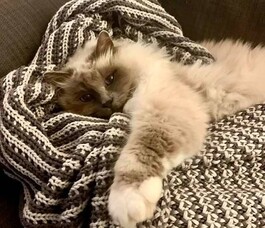 Max&rsquo;s Sleep Tips