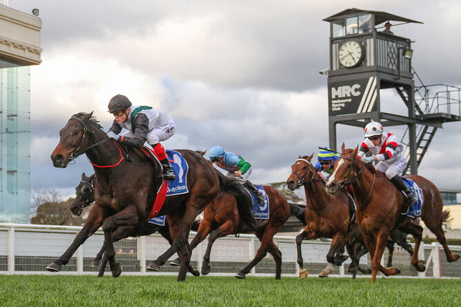 Mr Brightside leads the field home in the Gr.2 P.B Lawrence Stakes at Caulfield.  - Photo: Bruno Cannatelli