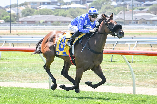Wrote to Arataki winning at Warrnambool - Photo: Alice Miles, Racing Photos