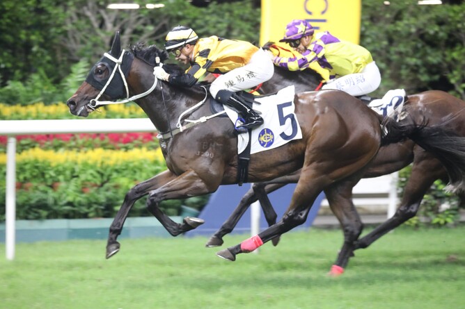 Three-year-old Flying Wrote winning under lights at Happy Valley - Photo: HKRW