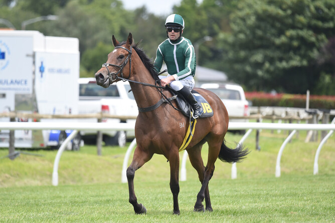 Quality three-year-old filly Best Seller with rider Jonathan Riddell after an eye-catching exhibition gallop between races at Hastings - Photo: Race Images, Peter Rubery