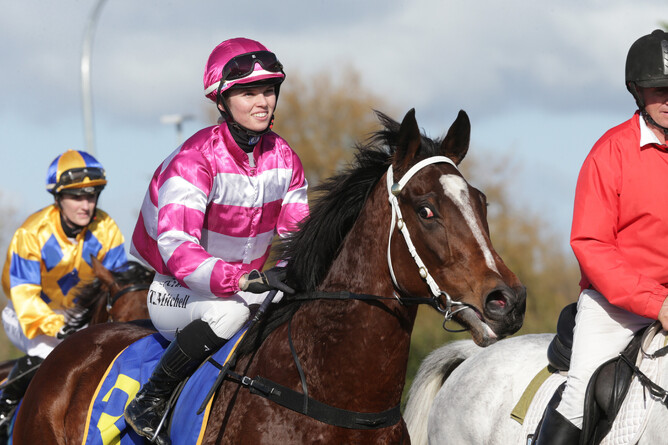 Imprevu will contest the Horse Transport Services 1300 at Cambridge on Wednesday. - Photo: Trish Dunell