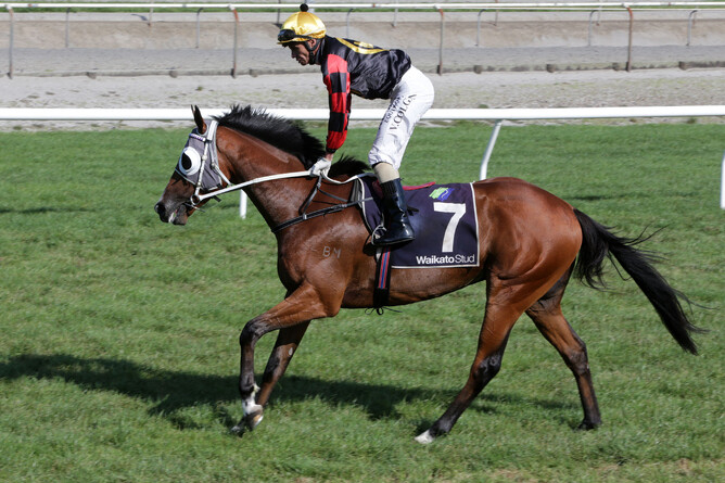 Creator is set to cross the Tasman. - Photo: Trish Dunell