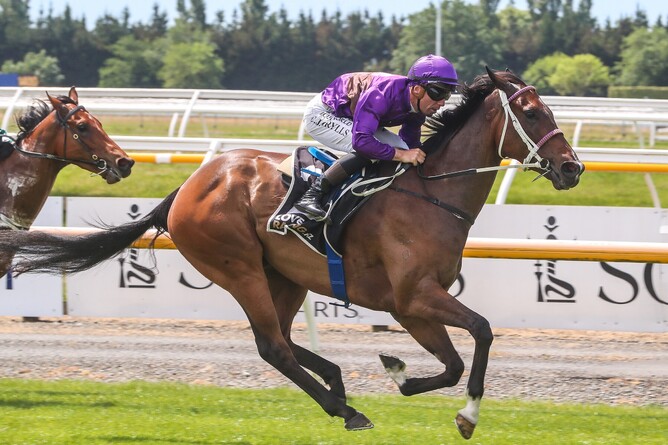Platinum Attack winning the Listed Donaldson Brown Pegasus Stakes (1000m) at Riccarton on Saturday. - Photo: Ajay Berry (Race Images South)
