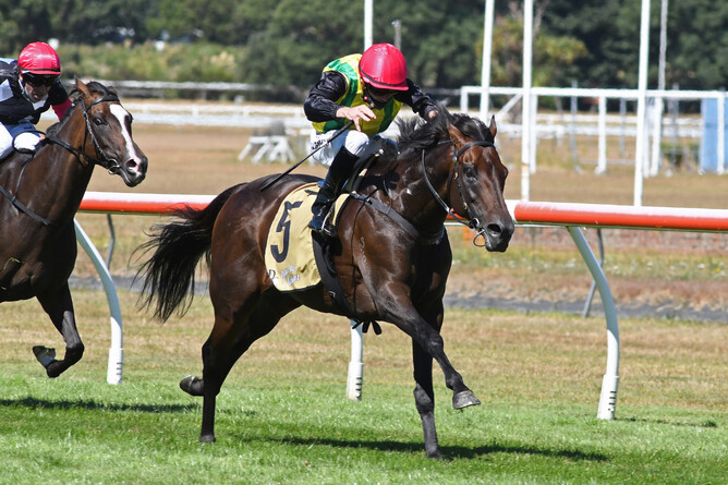 The Chosen One winning the Gr.1 Thornton Mile with jockey Matthew Cameron on board. Photo: Race Images PN