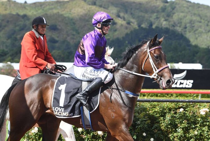 Platinum Attack and Johnathan Riddell return to the Trentham birdcage after winning the The Oaks Stud Premier (1200m).  - Photo: Race Images PN