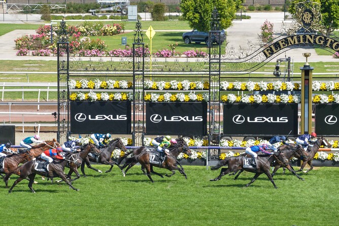The Chosen One finishing fourth in the Gr.1. Melbourne Cup (3200m).  - Photo: Reg Ryan (Racing Photos)