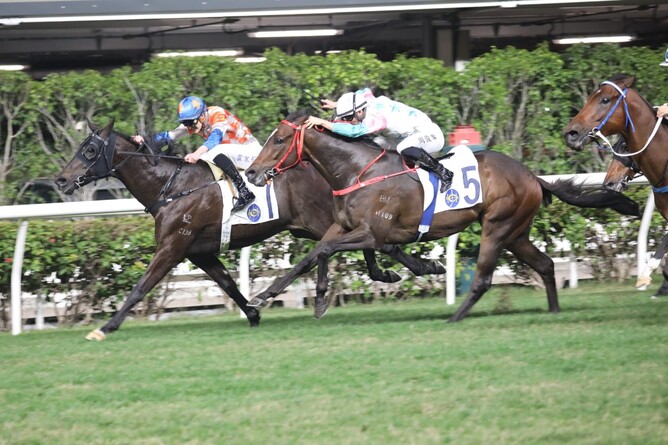 Top Top Tea, a son of Highview Stud stallion Wrote, winning at Happy Valley on Wednesday night - Photo: HKJC