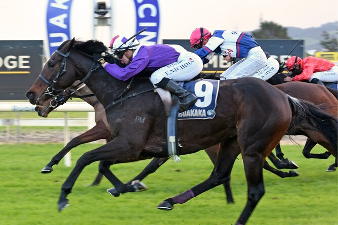 Reinstatement winning the ITM/GIB Progressive Championship Final at Ruakaka on Saturday. - Photo: Therese Davis