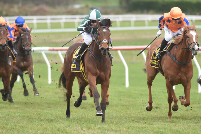 Best Seller winning at Taupo on Wednesday. - Photo: Peter Rubery, Race Images