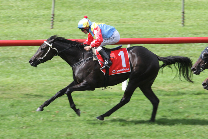 Contessa Vanessa - Photo: Trish Dunell