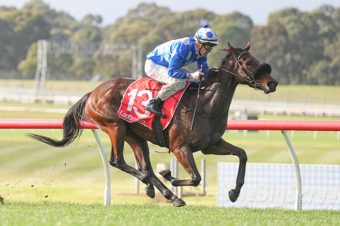 Wrote of Arataki winning at Sandown on Wednesday. - Scott Barbour (Racing Photos)