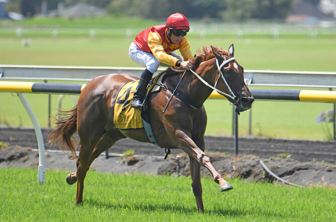 Group One performed juvenile Ulanova has joined Anthony and Sam Freedman ahead of her spring campaign - Photo: Race Images PN