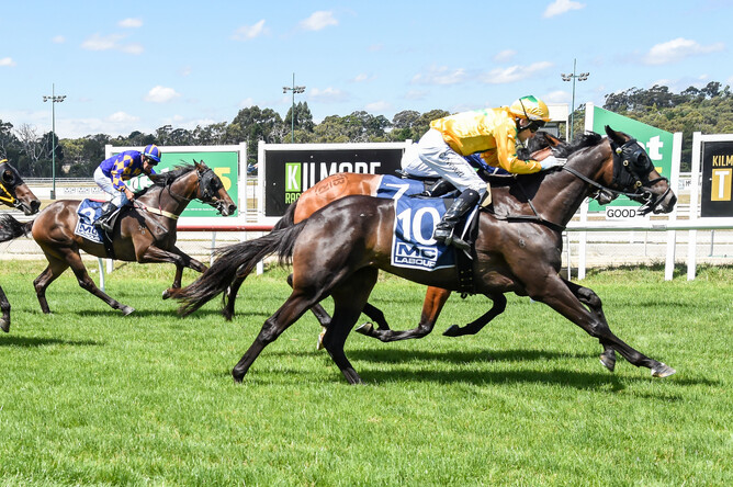 Bing Bang Boom winning at Kilmore on Thursday. - Photo: Brett Holburt (Racing Photos)
