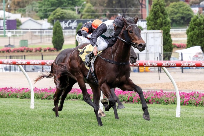 Mr Charismatic scores at The Valley. - Photo: George Sal, Racing Photos