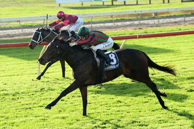 Nancy She Wrote winning the Tanalised Mile (1600m) at Ruakaka on Saturday.Photo: Therese Davis