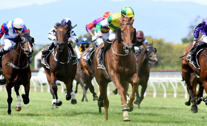 Beauden dashes clear to take out the Listed Japac Homes FastTrack $5k Marton Cup - Race Images – Grant Matthew