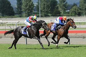 Contessa Vanessa - Photo Credit: Trish Dunell