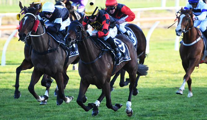 Popthebubbles winning at Tauranga on Saturday. - Photo: Kenton Wright (Race Images)