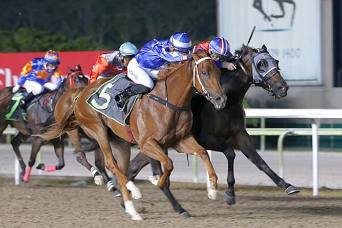 Field Marshal winning the CLASS 4  - Photo: Singapore Turf Club