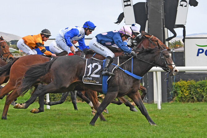 And We Danced (outside) will contest the Gr.1 Barneswood Farm New Zealand 1000 Guineas (1600m) at Riccarton on Saturday. - Photo: Race Images