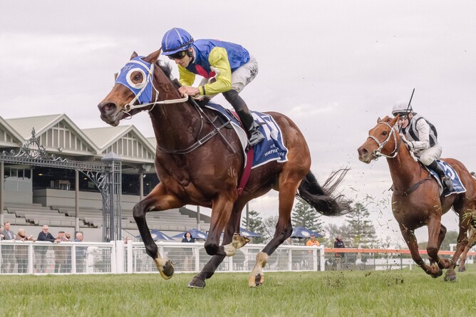 See You In Heaven winning the Gr.3 Behemoth Stakes (1200m) at Morphettville - Photo: Atkins Photography