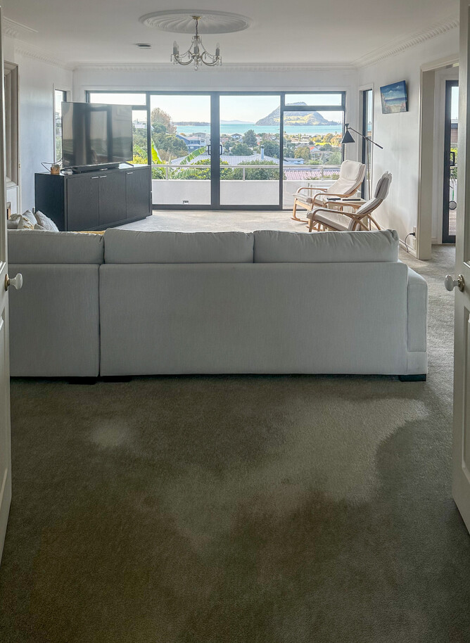 BEFORE: The living room with mid-dark toned carpet absorbs the light, creating a darker atmosphere and colder tones.