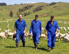 Dairy family branches out into sheep milk on the back of &lsquo;impressive&rsquo; numbers