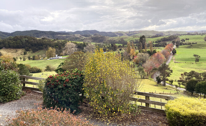 View from the Edward's home, looking down onto the milking shed on the left