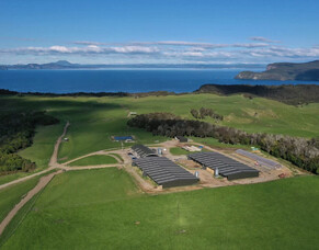 Producing world-class sheep milk