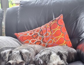 Leamington, New Zealand