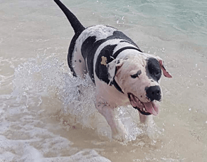 West Bay, Grand Cayman