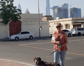 Al Bada&#039;a, Dubai