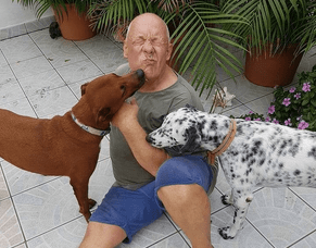 Harmony Apartments, Aruba