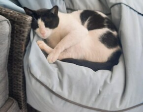 Welcome Bay, New Zealand