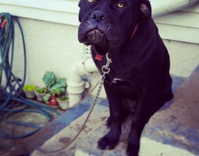 Max - In His Mums Words