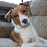 DONATE VIA GIVEALITTLE