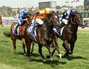 Champion sprinter Imperatriz recognised with Hall of Fame induction