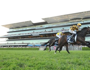 Dundeel to be inducted to New Zealand Racing Hall of Fame