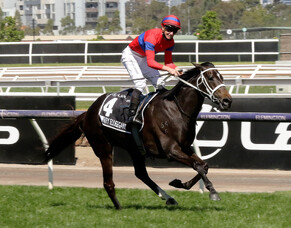 Champion racemare Verry Elleegant for Hall of Fame