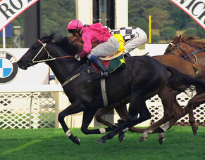 The Big O was one of a kind in an era of great racehorses