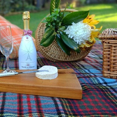 Picnic Ware with Wine and Cheese