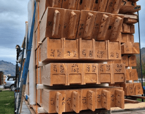 Raising the Timberframe