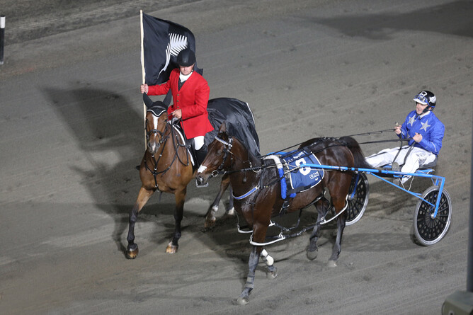 The inaugural The Race by Grins winner Self Assured returns to scale - Photo: Trish Dunell