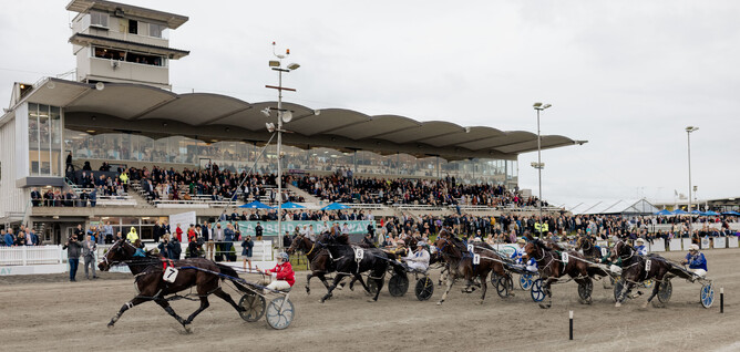 South Coast Arden is one of the possible contenders for The Race  - Photo: Christine Cornege