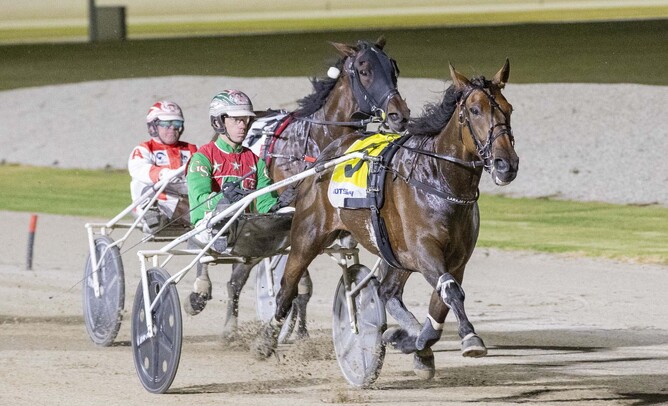 Just Believe one of the Aussie raiders heading to Cambridge for Night Of Champions - Photo: Stuart McCormick