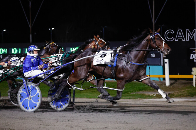 Self Assured winning the Dunstan Horsefeeds Flying Mile Mobile Pace. - Photo: Angelique Bridsdon