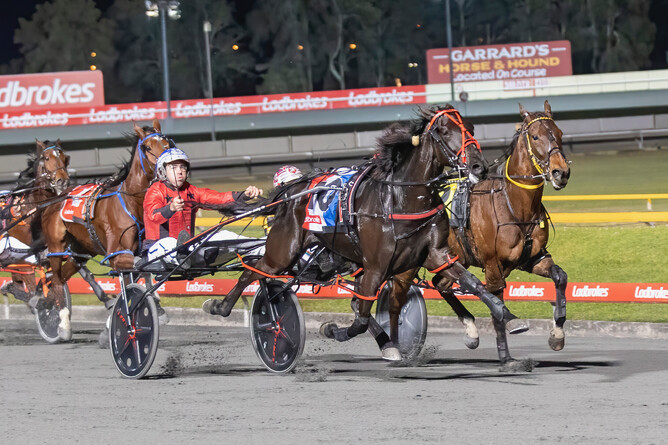 The Race By Grins contender Speak The Truth - Photo: Dan Costello